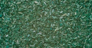 Posypka ciemnozielona miedza, Noch 08421