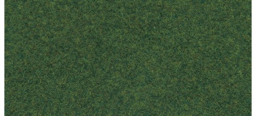 07081.jpg