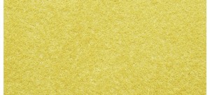 Posypka statyczna - dzika trawa żółta, Noch 07088