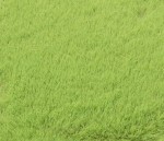 Trawa elektrostatyczna jasnozielona 4,5 mm, Auhagen 75613