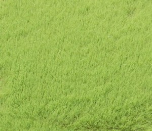 Trawa elektrostatyczna jasnozielona 4,5 mm, Auhagen 75613