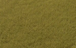 Trawa elektrostatyczna oliwkowa 4,5 mm, Auhagen 75614