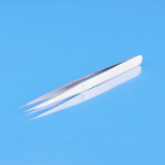 Peseta prosta szpiczasta ostra