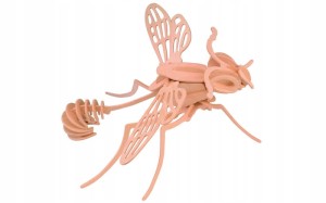 Osa