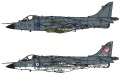 51 1.jpg