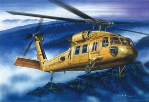 UH-60A Blackhawk, Hobby Boss 87216