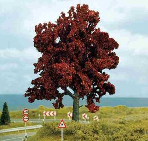 Drzewka - Buk czerwony, Noch 21730