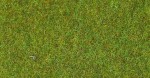 Mata - trawa jasna zieleń, Heki 30901