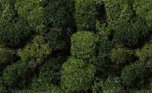 Krzaki skalne - zielony mix 75g, Noch 08621