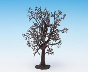 Drzewko - Buk zimowy, Noch 22010