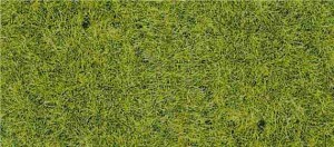 Mata dzika trawka podłoże leśne, Heki 1576