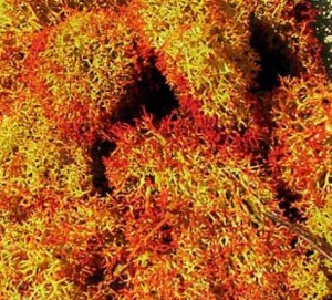 Mech - Cieniowany 30g, Heki 3216