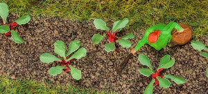 Rabarbar - 28 szt., Faller 181273