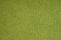 42341367.jpg