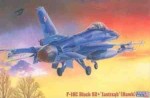 F-16C Block 52 Jastrząb, MisterCraft D-116