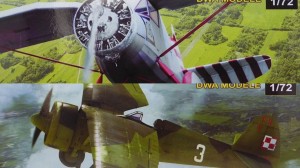 RWD-6 + PZL P.11c - Plastyk S066